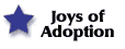 Joys of Adoption