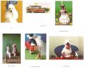 HG Underdog Everyday Greetings Boxset - Click For Enlargement