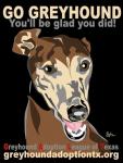 Go Greyhound T-shirt - Click For Enlargement