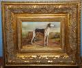 English White & Black Greyhound Oil Painting - Click For Enlargement