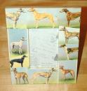 Greyhound Label Frames - Click For Enlargement