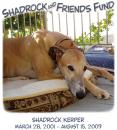 Shadrock & Friends Memorial Fund - Click For Enlargement