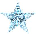 GALT Star T-Shirt - Click For Enlargement