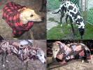 Fun Fleece Coats with Removable Snoods - Click For Enlargement