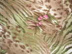 Floral Jungle