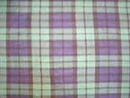 Green/Purple Plaid