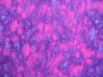 Hot Pink/Purple Print